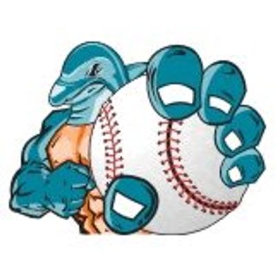 LI Dolphins Baseball logo