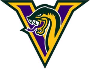 Long Island Vipers logo