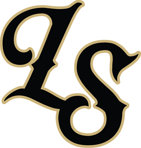 Loudoun South Eagles logo