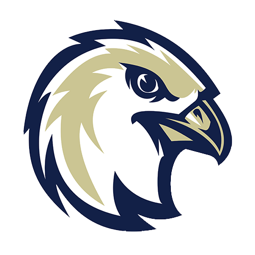 LWR Falcons logo