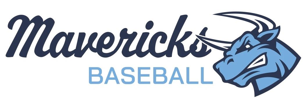 Mavericks logo