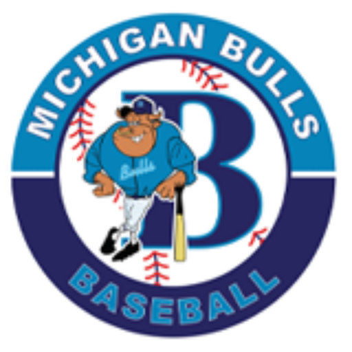 Michigan Bulls logo