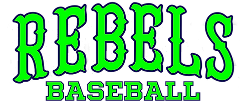 Michigan Rebels logo