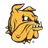 MN Bulldogs logo