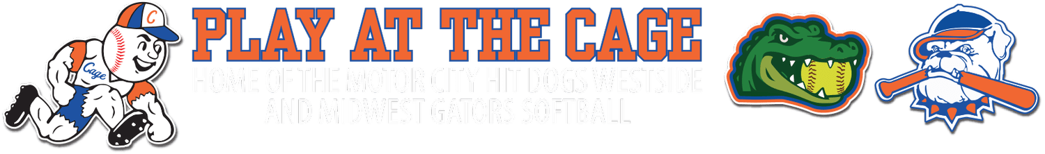 Motor City Hit Dogs logo