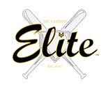 Mt Vernon Elite logo