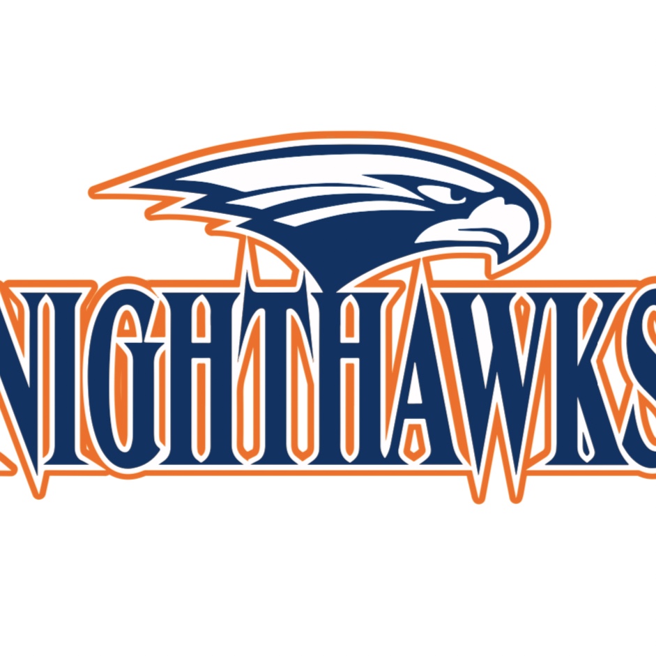 Nighthawks logo