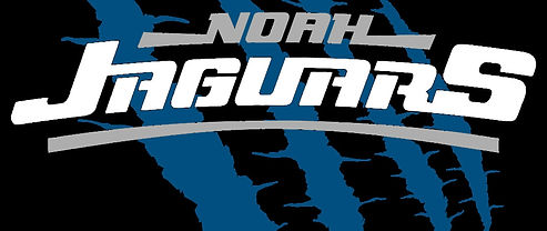 NOAH Jaguars logo