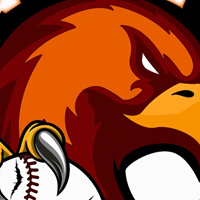 Orangeburg Riverhawks logo