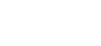 Paladin logo