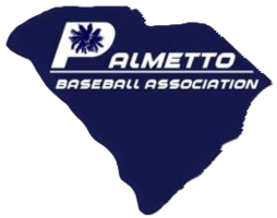 Palmetto Prospects logo