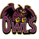Park Ridge Owls logo