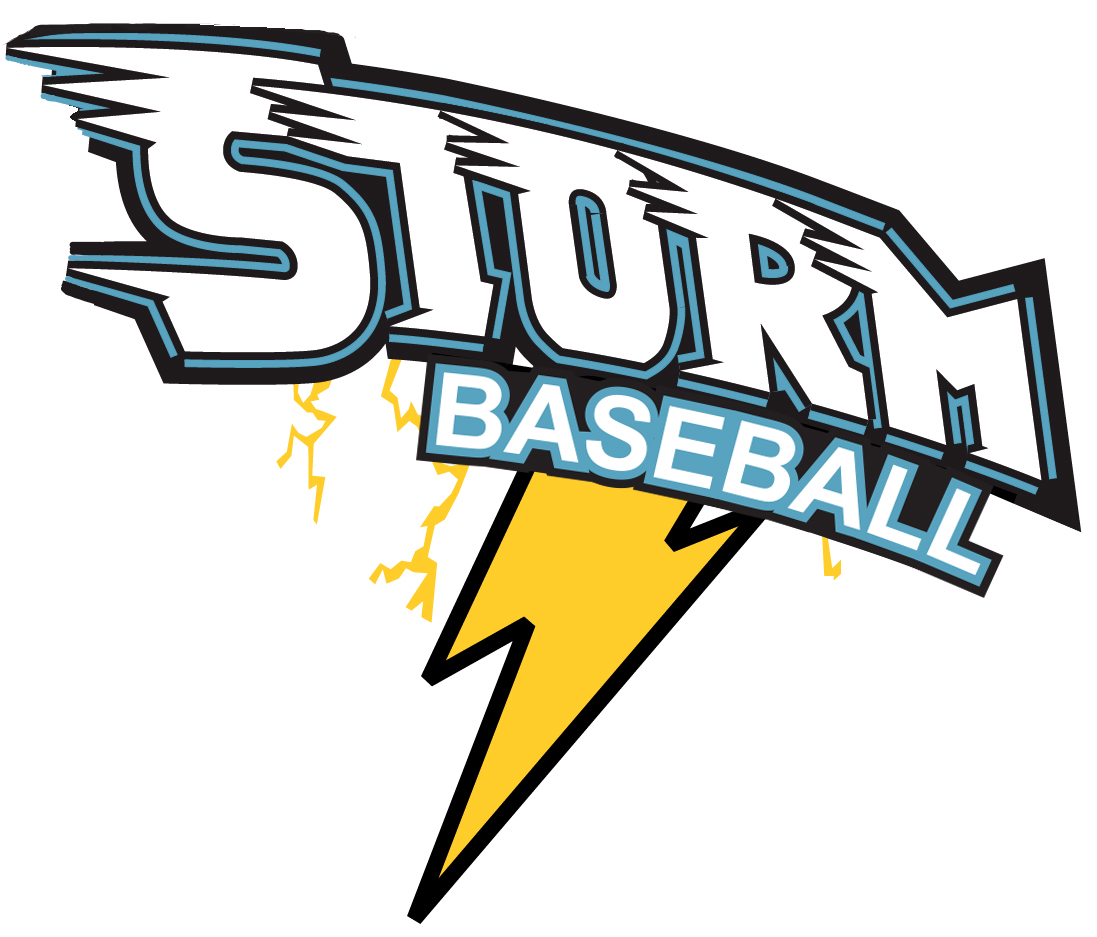 PSL Storm logo