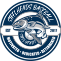 Racine Steelheads logo