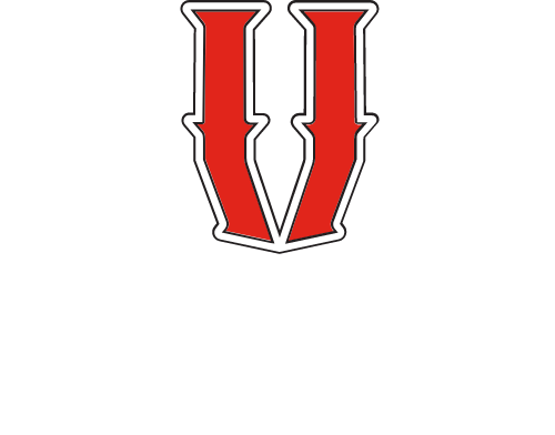 Rincon Valley Vipers logo