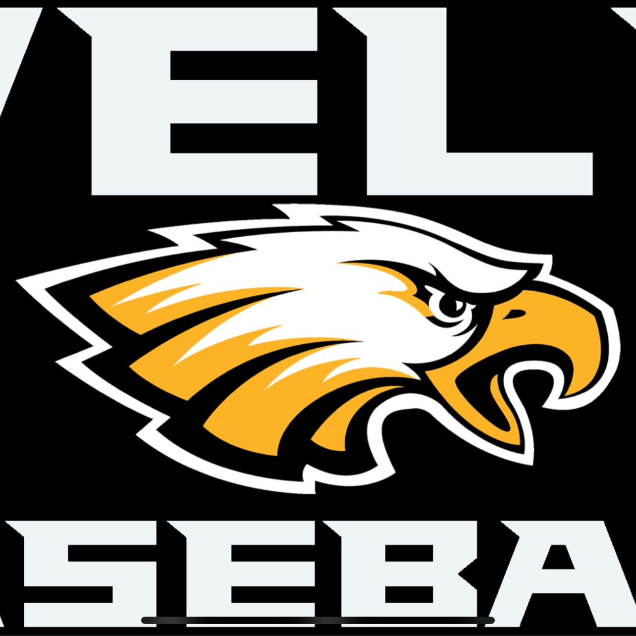 SBG Sox GC Wilson logo