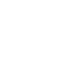 Shenandoah Sluggers logo
