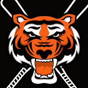 South Davis Comets logo