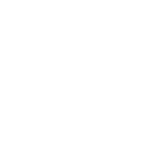 Spring Branch Knights logo