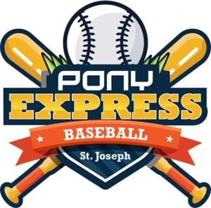 St. Joe Diamondbacks logo