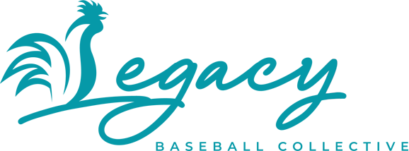 Star City IronBirds logo