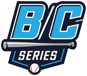 Steel City Hitmen logo