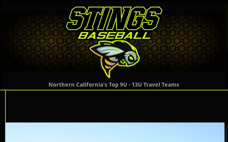 Stings Baseball logo