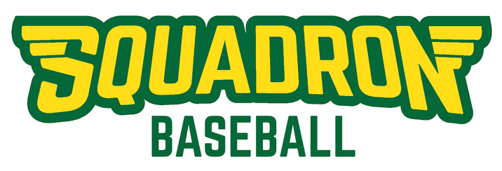 Sycamore Squadron logo