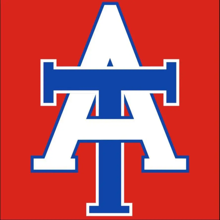 Team Action logo