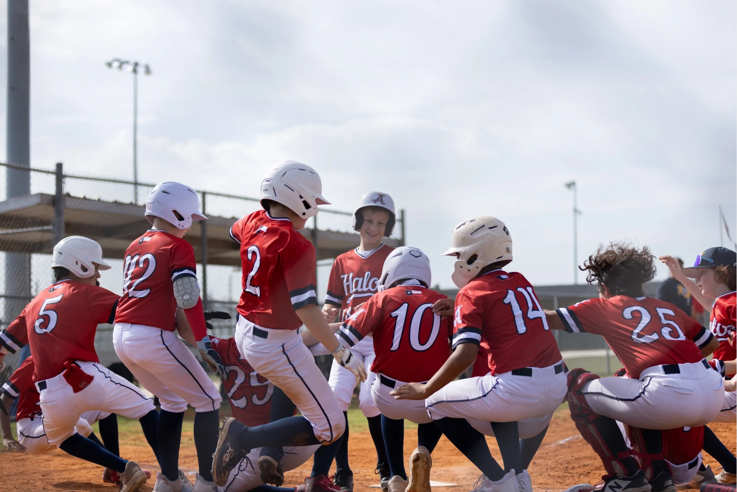 TEXAS ANGELS ELITE logo