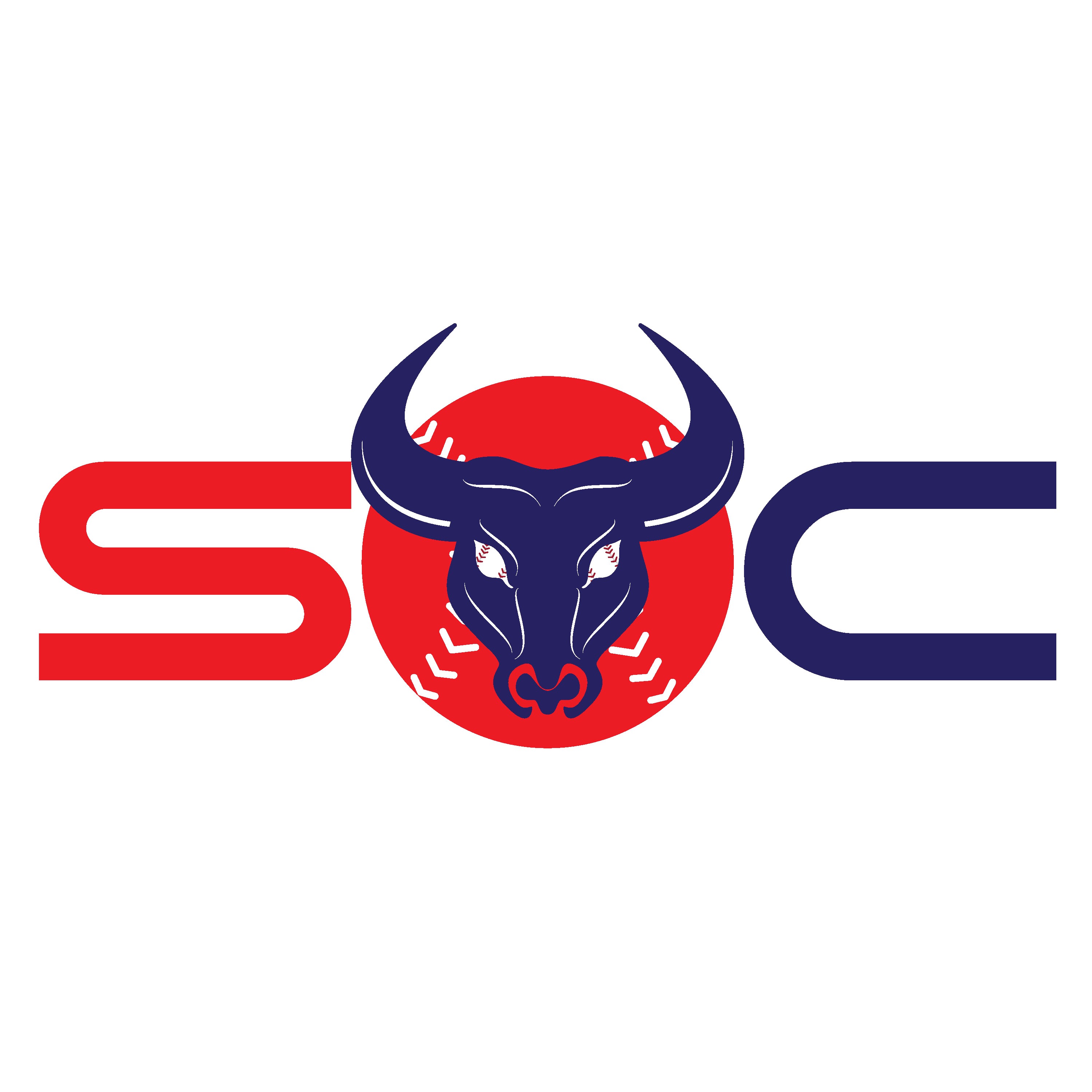 Texas Mavericks logo