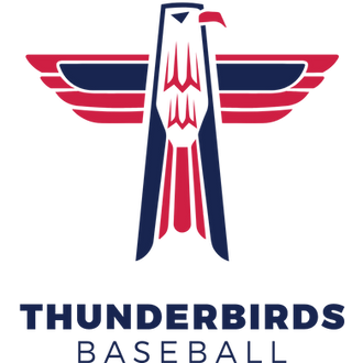 Thunderbirds logo