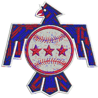 Tidewater Thunderbirds logo