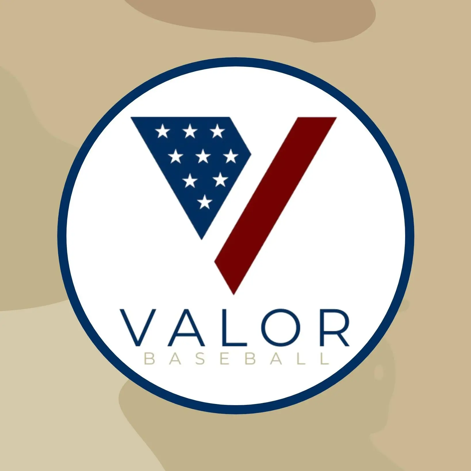 Valor Baseball logo
