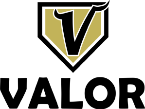 Valor Vikings logo