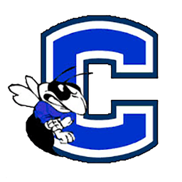 Vestavia Hornets logo