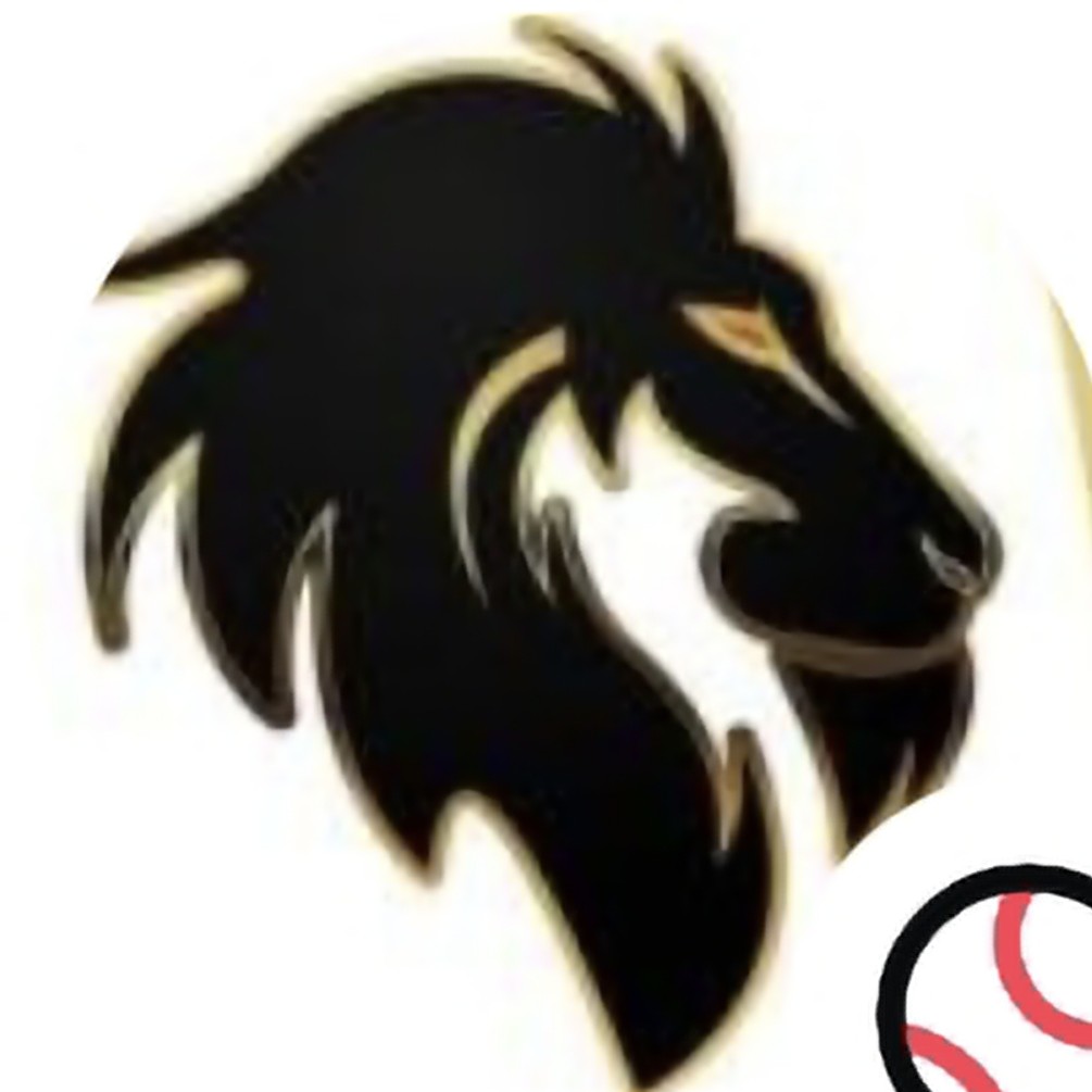 VSA Bandits logo
