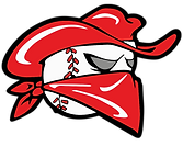 Waterford Outlaws logo