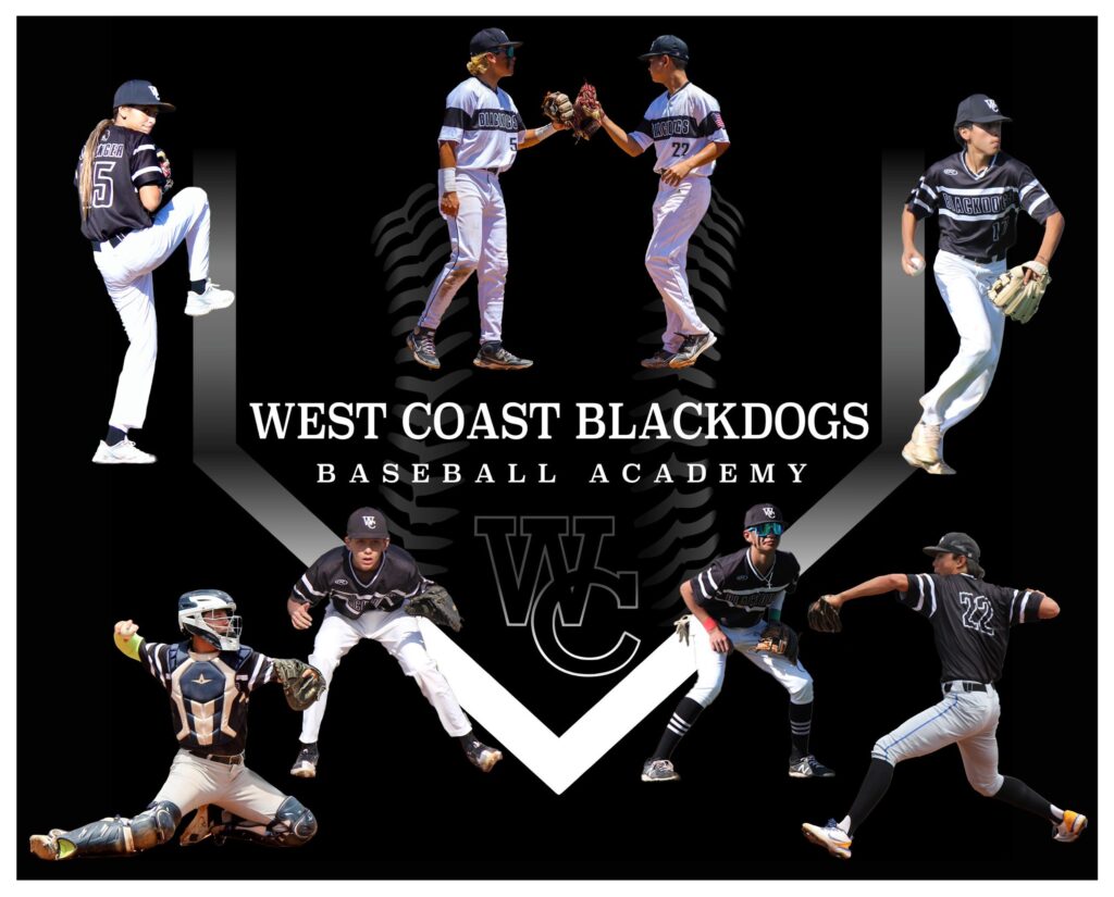 WC Blackdogs logo