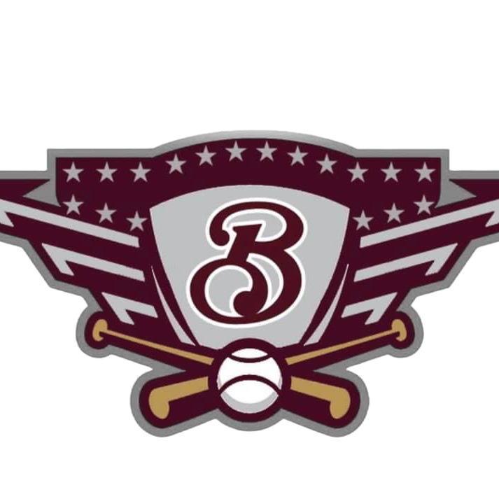 Webb City Naturals logo