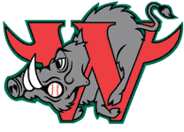 Webster Travel Baseball logo