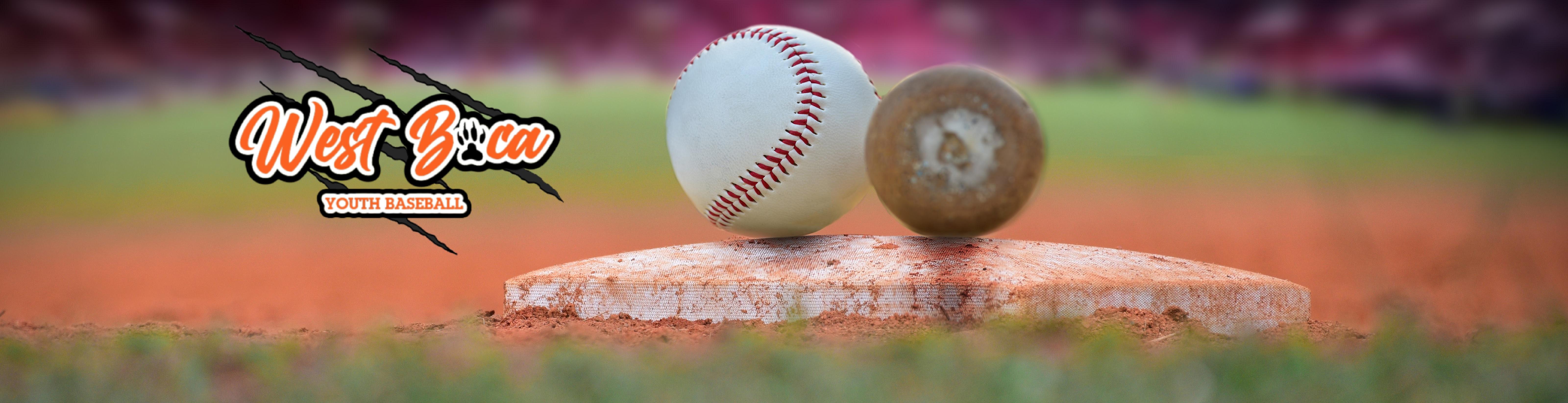 West Boca Panthers logo