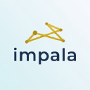 West Virginia Storm logo