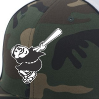 Wichita Padres logo