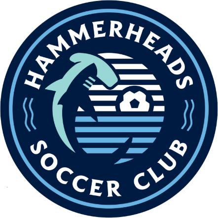 Wilmington Hammerheads logo
