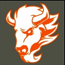 Wolfpack logo